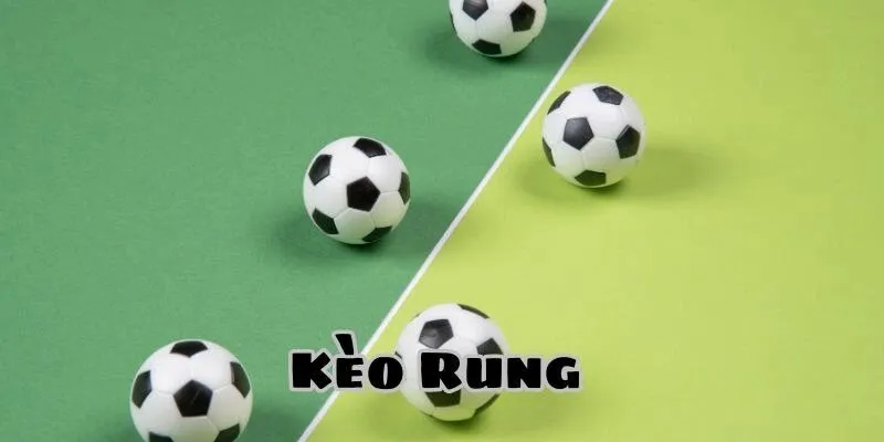 Chi tiết cách đánh rung chuẩn