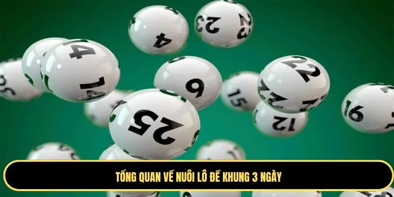 Khám phá về nuôi lô khung 3 ngày